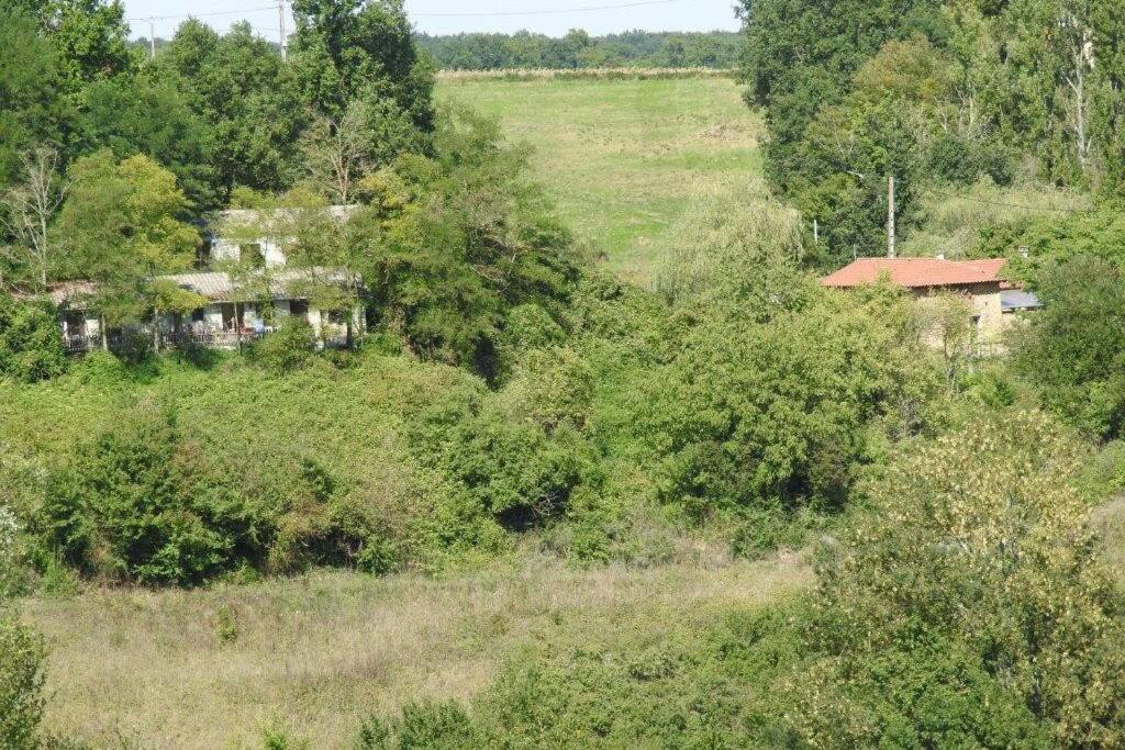 Gite En Pleine Nature Proche Du Lac De La Gimone Saint-Blancard Zewnętrze zdjęcie